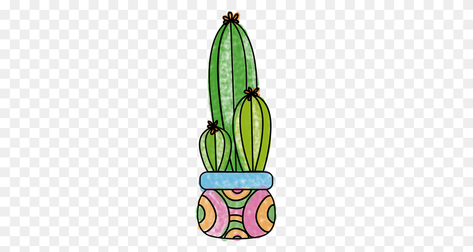 Mexico Hat Cactus, Jar, Plant Free Png Download
