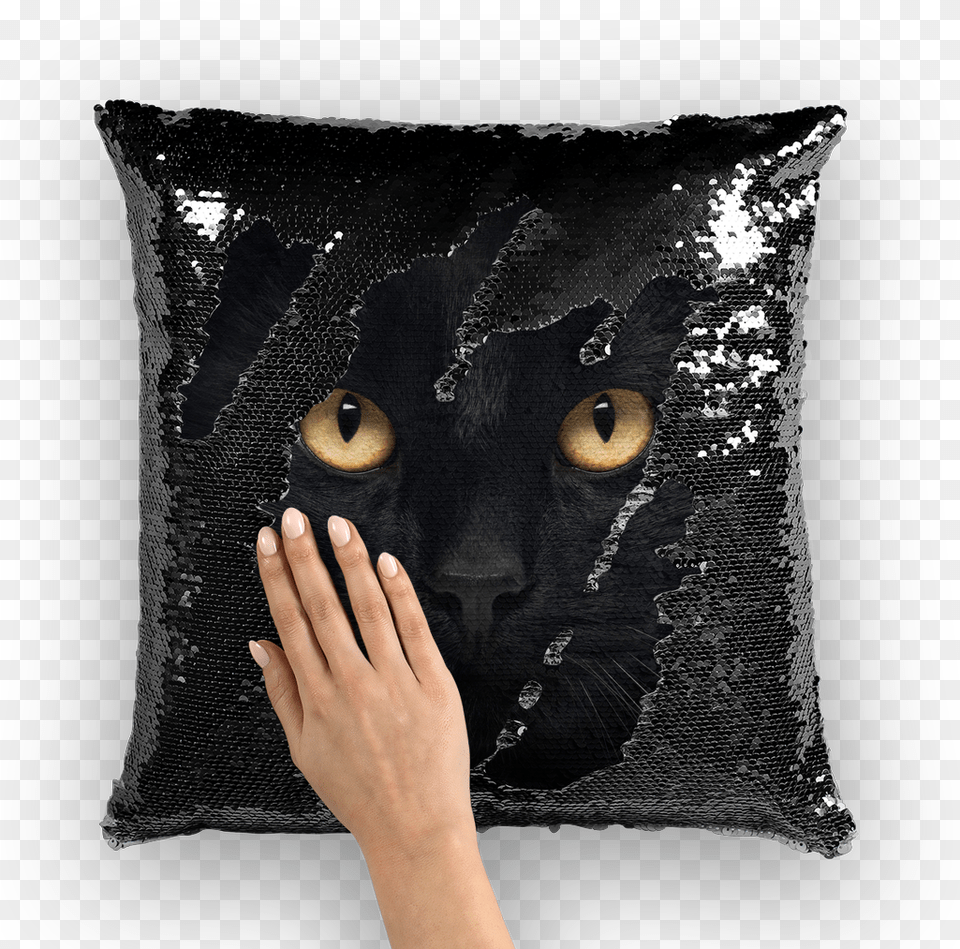 Mezmerizing Black Cat Eyes Magical Hidden Pillow Nicolas Cage Sequin Throw Pillow, Cushion, Home Decor, Animal, Mammal Free Png Download
