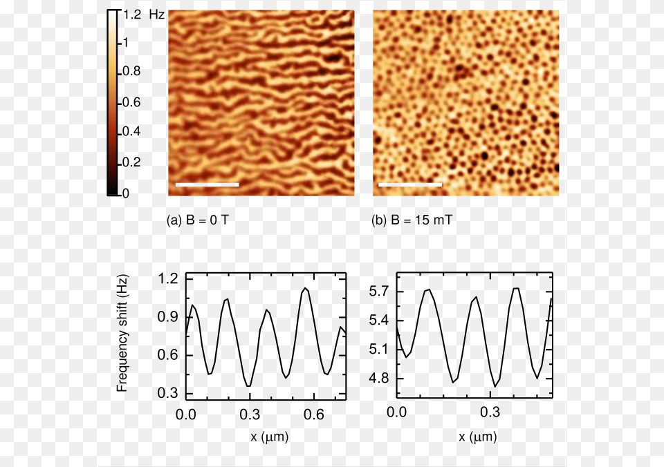 Mfm Images Of A Polished Surface Of Bulk Samples Of Parallel, Chart Png Image