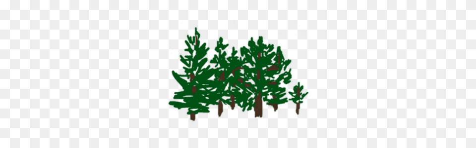 Mfp Logo Magnolia Forest Group Nfp, Green, Plant, Tree, Herbs Free Transparent Png