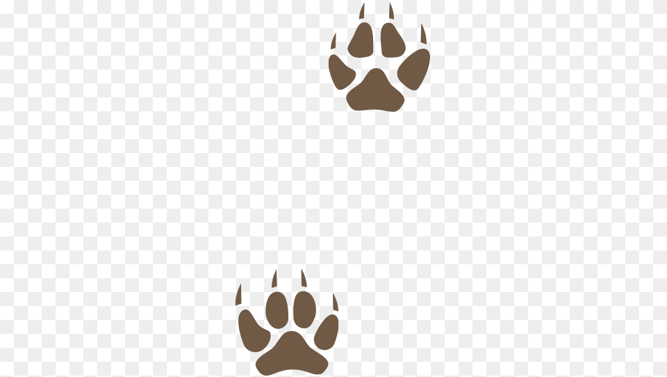 Mgc Animal Tracks Game, Person, Home Decor, Face, Head Png Image