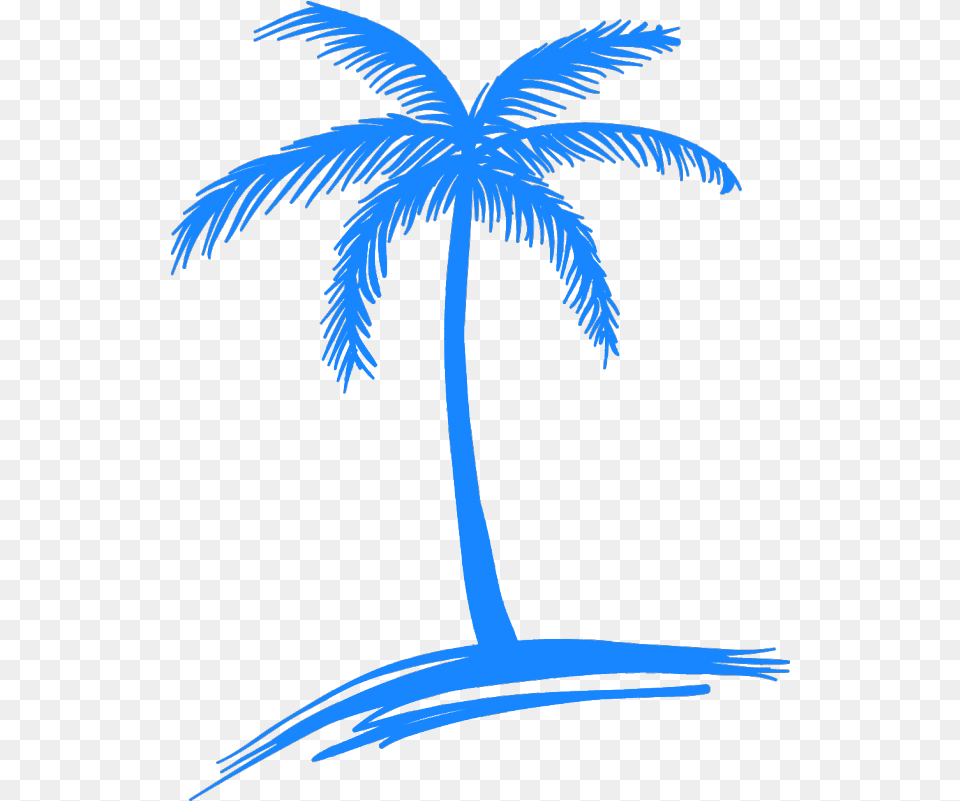 Mgctlbxlc Mgctlbxpprestashop Small Palm Tree Drawing, Palm Tree, Plant, Nature, Outdoors Free Png