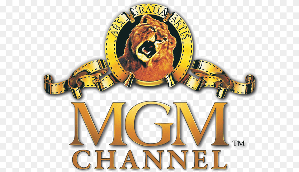 Mgm Channel Logo Free Png Download