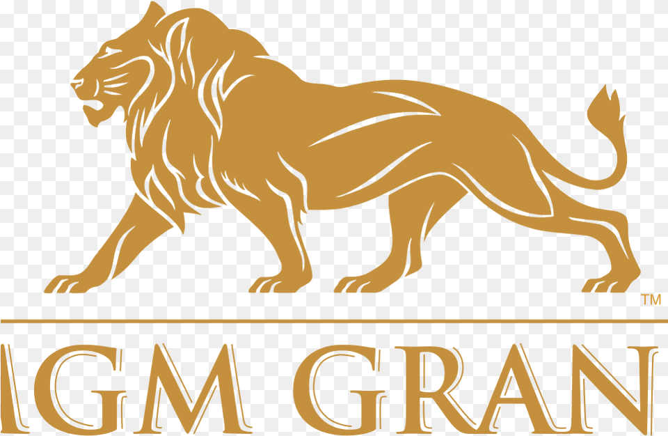 Mgm Grand Mgm Grand Logo, Animal, Lion, Mammal, Wildlife Free Png