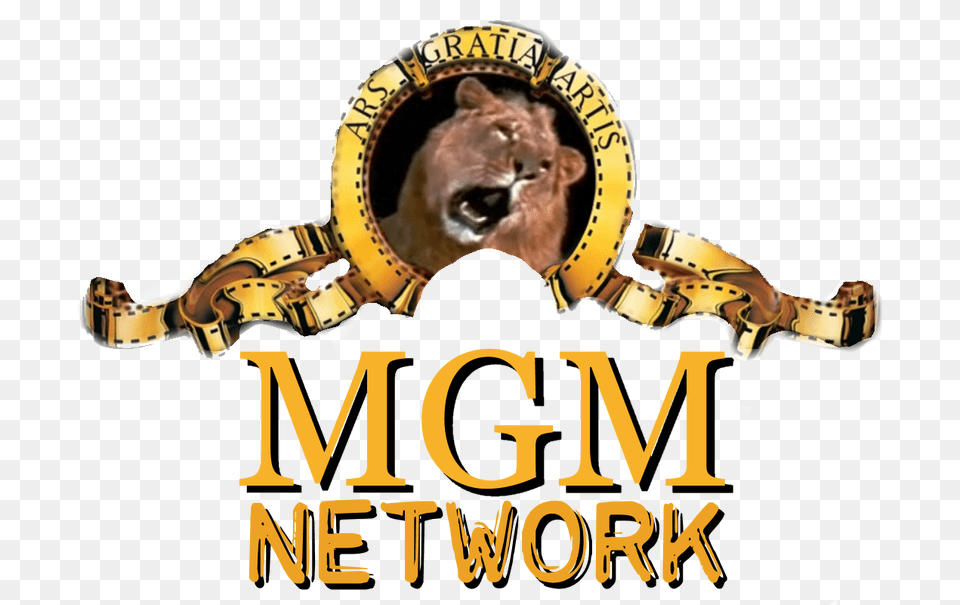 Mgm Lion Network Poster, Circus, Leisure Activities, Animal, Cat Free Png
