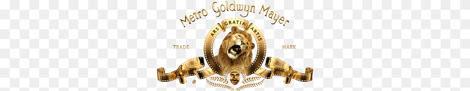 Mgm Logo, Animal, Mammal, Lion, Gold Png Image