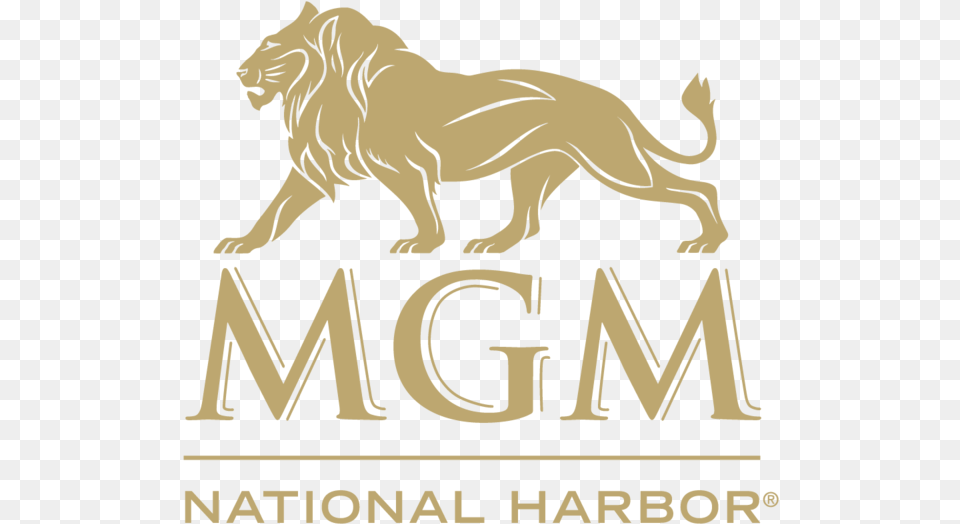 Mgm Nh 540 Lion Mgm National Harbor Casino Logo, Animal, Mammal, Wildlife, Zoo Free Png