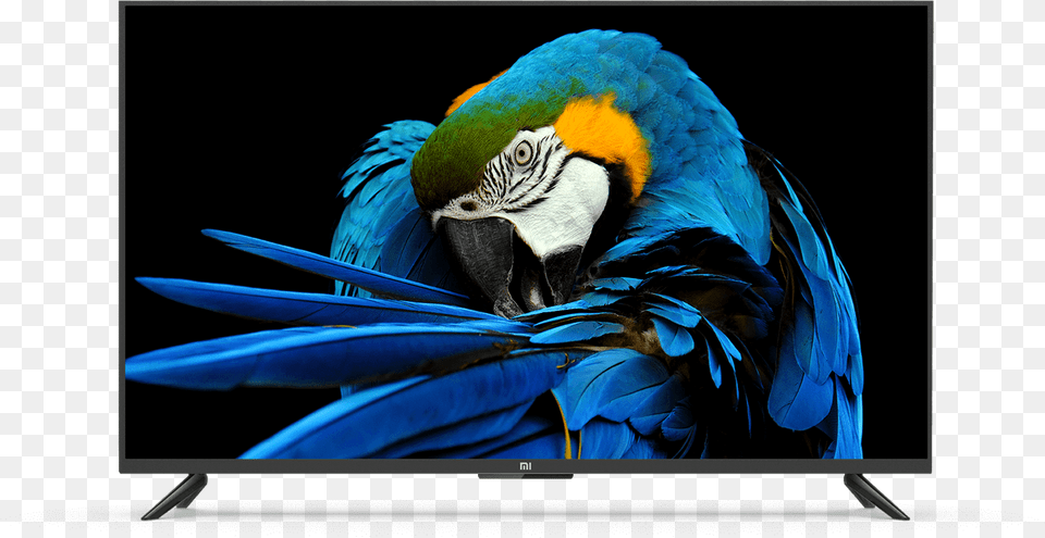 Mi Led Tv 4a Pro, Computer Hardware, Electronics, Hardware, Monitor Free Transparent Png