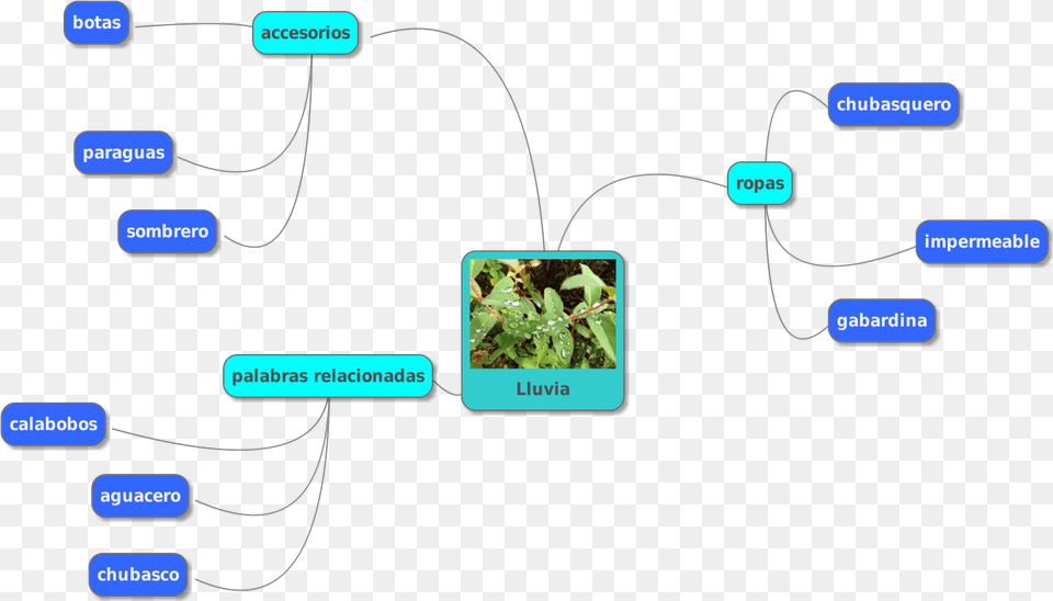 Mi Palabra Favorita Relacionada Con La Lluvia Leeds, Plant, Vegetation, Diagram, Uml Diagram Free Png Download