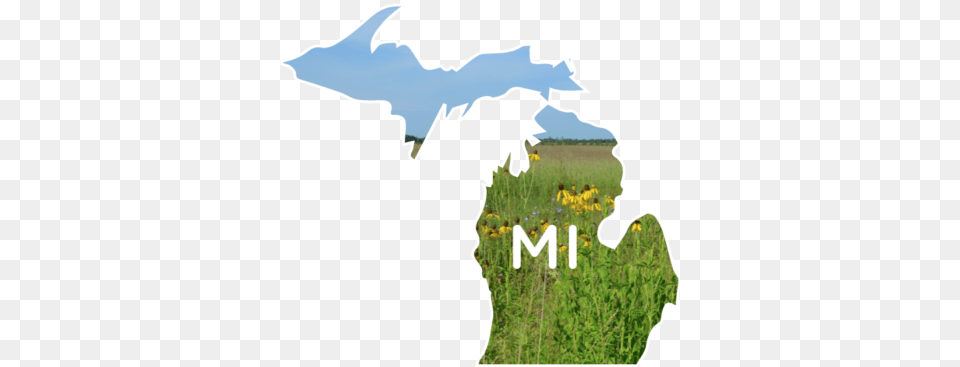 Mi Tallgrass Mix State Of Michigan, Nature, Rural, Plant, Pasture Free Png