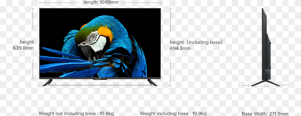 Mi Tv 49 Inch Size, Electronics, Screen, Computer Hardware, Hardware Free Png