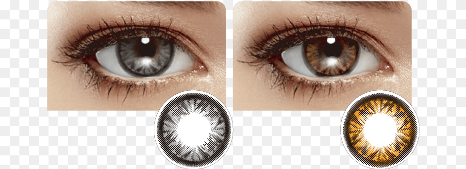 Miacare Confidence Monthly, Art, Collage, Contact Lens, Person Free Transparent Png