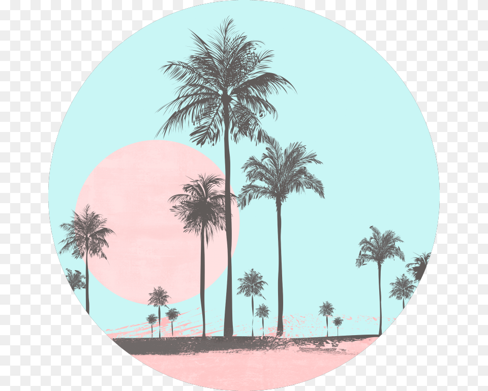 Miami Beach Miami Beach Seaside Coastal Palm Feeds Instagram Blue Pastel, Palm Tree, Photography, Plant, Tree Free Png