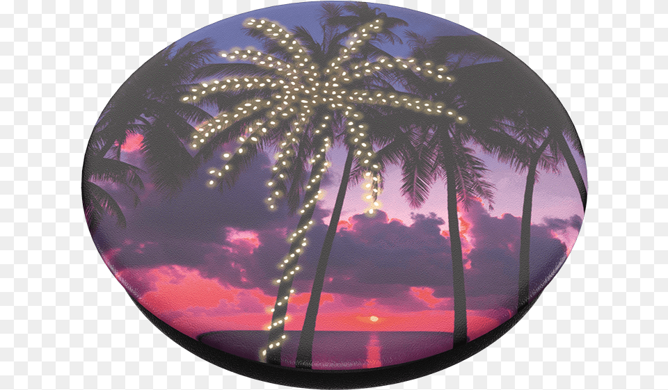 Miami Holiday Popsockets Miami, Photography, Sphere, Tree, Plant Free Png Download