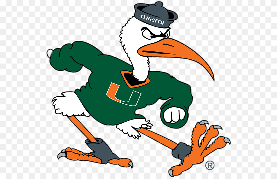 Miami Hurricanes Mascot, Animal, Beak, Bird, Cartoon Free Transparent Png