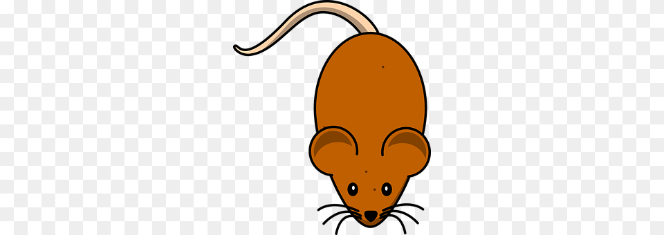 Mice Animal, Mammal Png