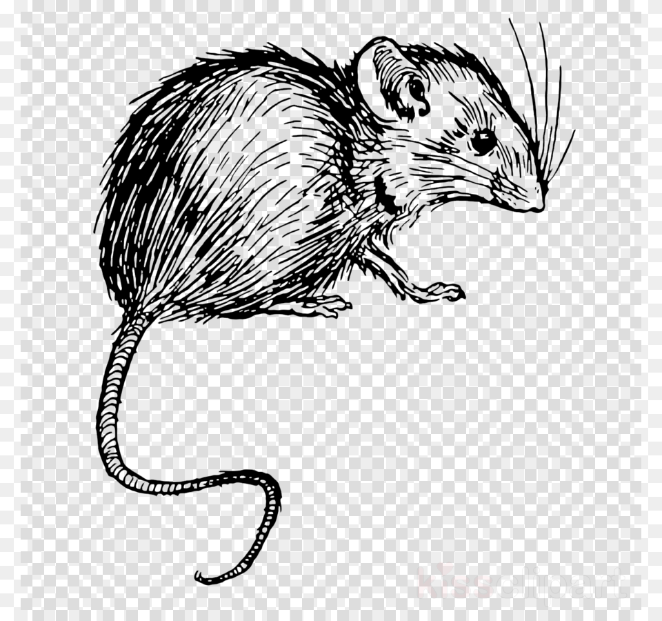 Mice And Men Mouse, Food, Fruit, Plant, Produce Free Transparent Png
