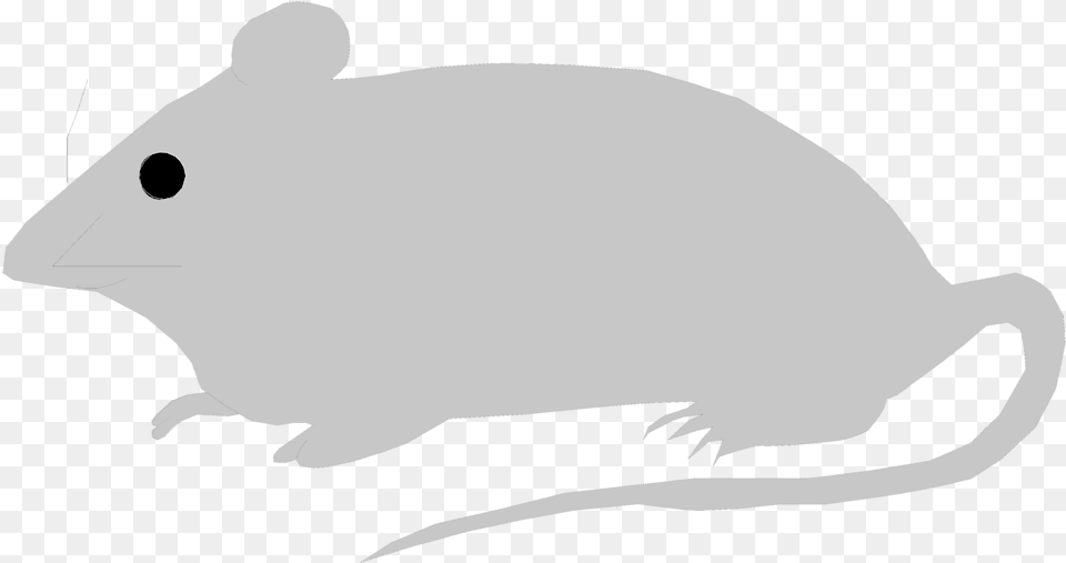 Mice Clipart Deer Mouse Mouse Illustration, Animal, Mammal, Rodent, Fish Free Transparent Png