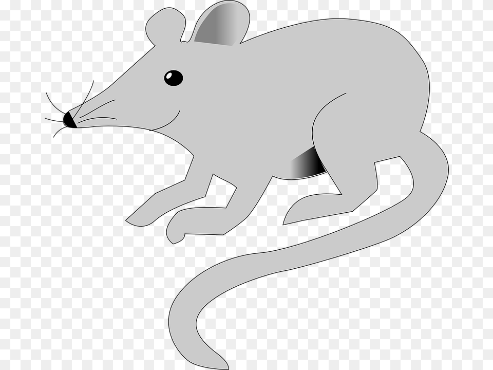Mice Clipart Gray Mouse Muroids, Animal, Mammal, Fish, Sea Life Free Png Download
