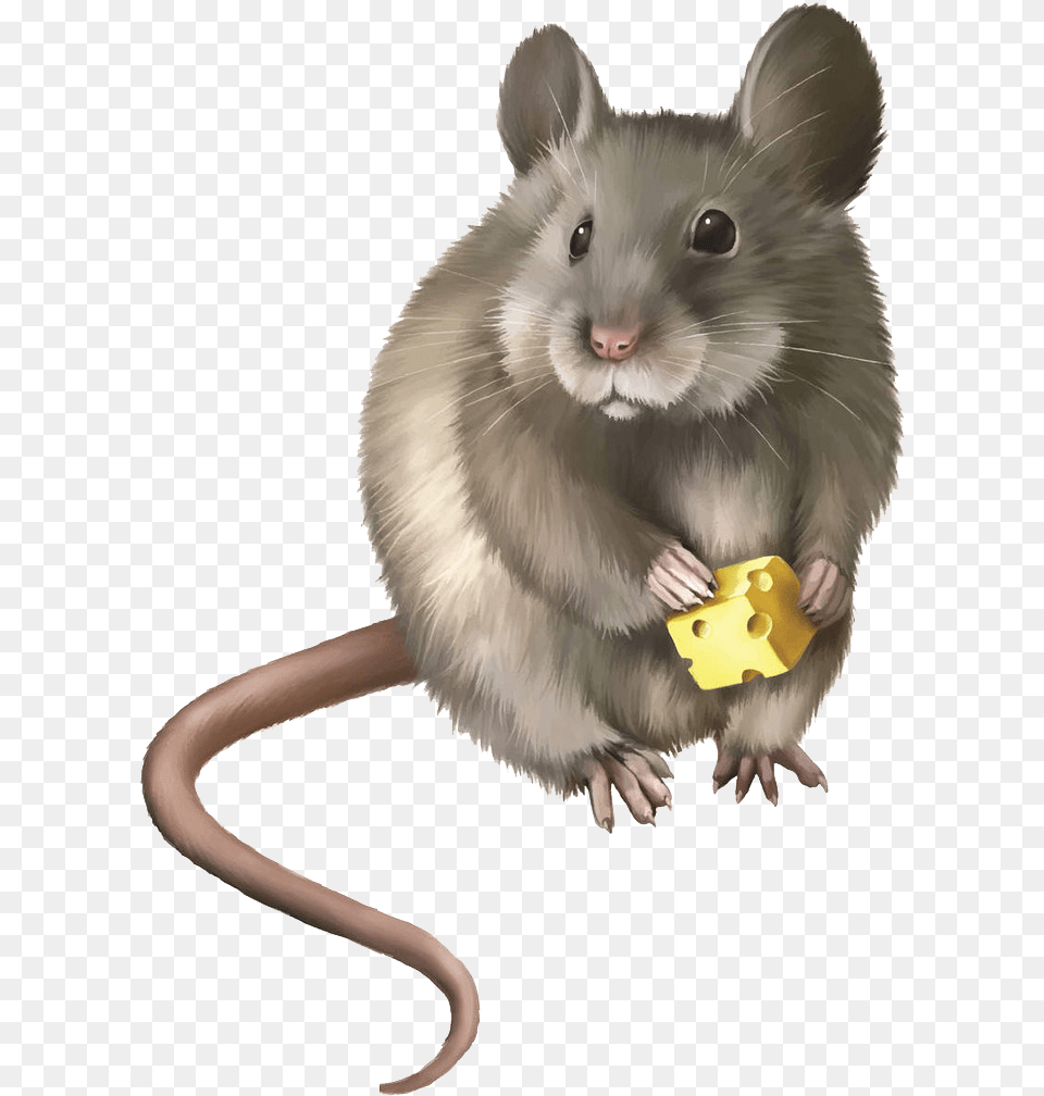Mice Clipart Rodent Realistic Mouse Clipart, Animal, Mammal, Rat Png Image