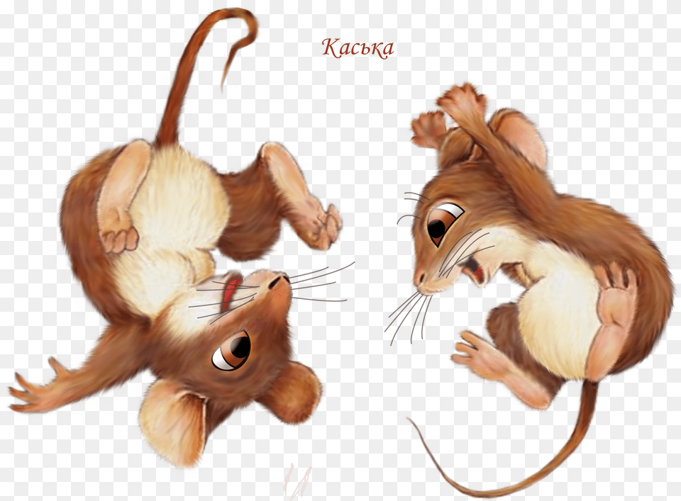 Mice Happy Flips Png