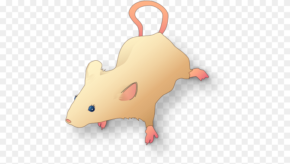 Mice Infestation Can Be Both Embarrassing And Frustrating Thumbnail, Animal, Mammal, Baby, Person Png Image