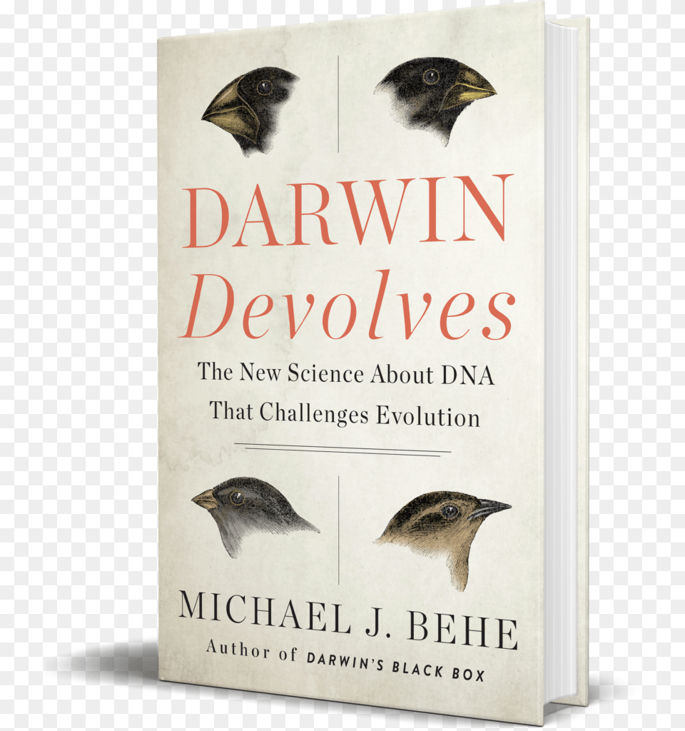 Michael Behe Darwin Devolves, Book, Publication, Animal, Bird Free Transparent Png