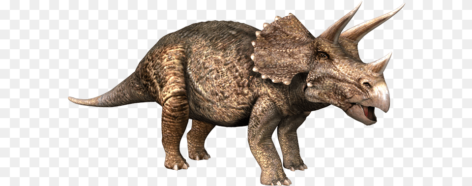 Michael Ceratops, Animal, Dinosaur, Reptile Png