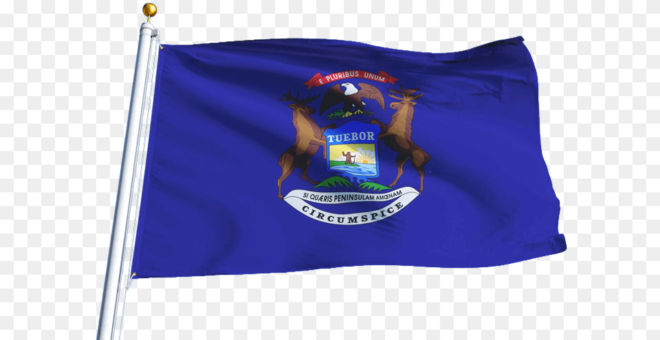 Michigan Insurance Adjuster License, Flag Free Transparent Png