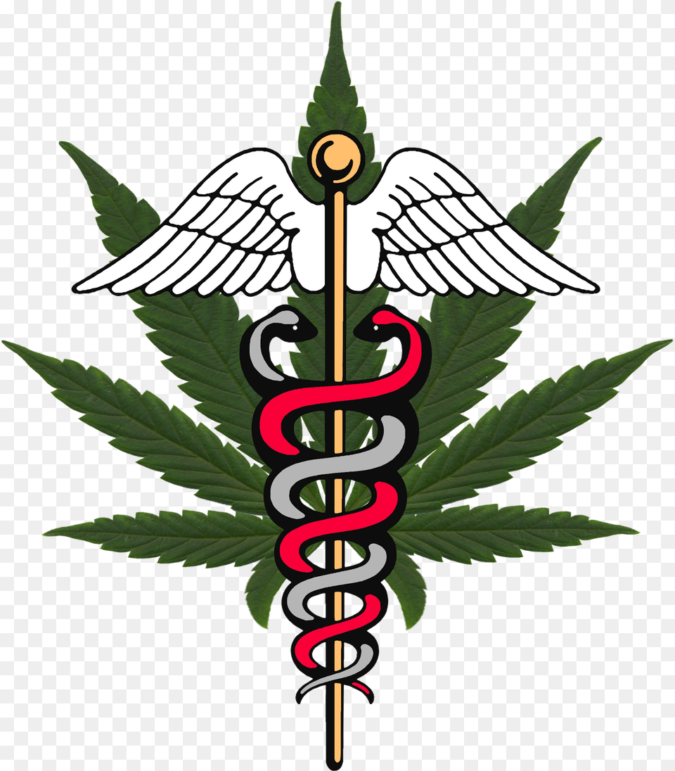 Michigan Medical Report World Symbol Marijuana, Leaf, Plant Free Transparent Png