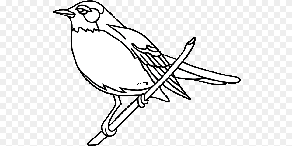 Michigan Outline Drawing Clipart Best Color Michigan State Bird, Stencil, Finch, Animal, Sparrow Png