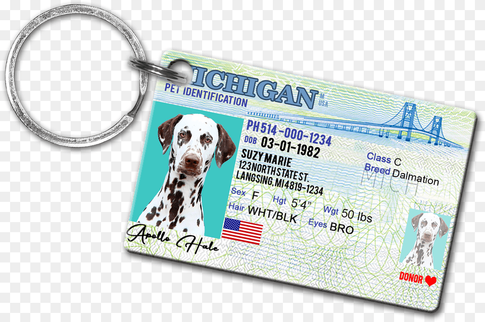 Michigan Pet Drivers License Id Tags Michigan, Text, Animal, Canine, Dog Png