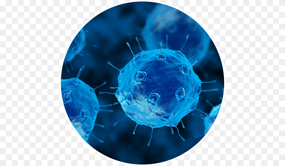 Microbes Bacteria, Sphere, Animal, Insect, Invertebrate Png Image