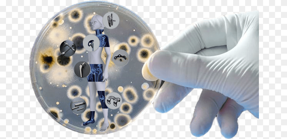 Microbes In Petri Dish, Clothing, Glove, Person, Baby Free Png Download