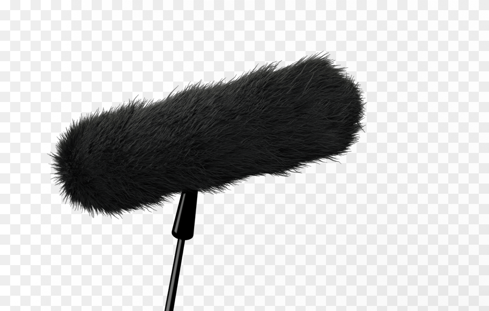 Microphone Boom Microphone Image, Animal, Mammal, Rat, Rodent Free Png Download