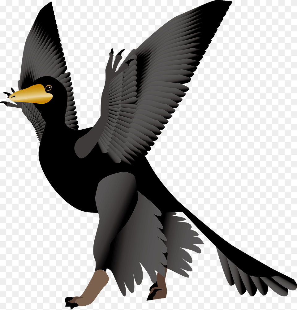 Microraptor Dinosaur Clipart, Animal, Bird, Blackbird, Cormorant Free Png Download