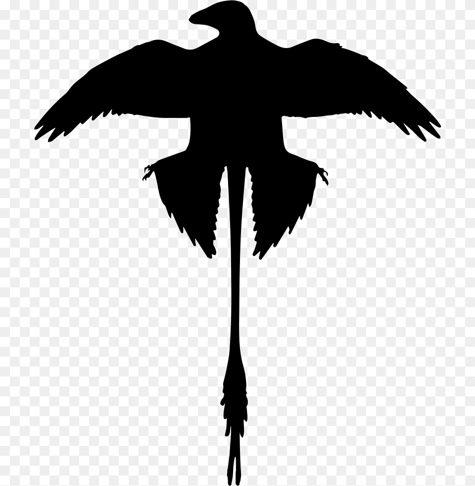 Microraptor Shape Of Extinguished Dinosaur Microraptor Wings, Silhouette, Stencil, Animal, Reptile Free Transparent Png