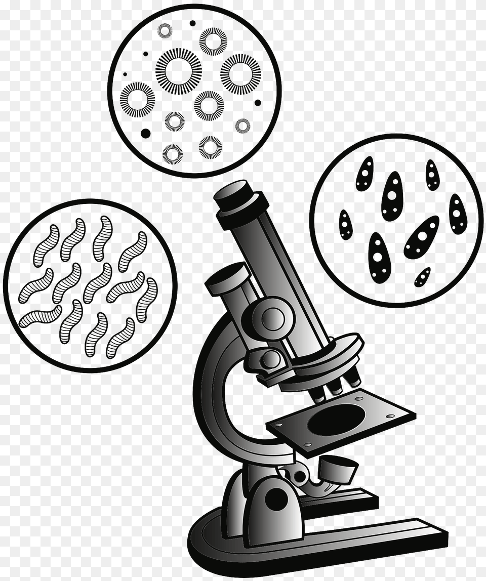 Microscope And Virus Clipart Png Image