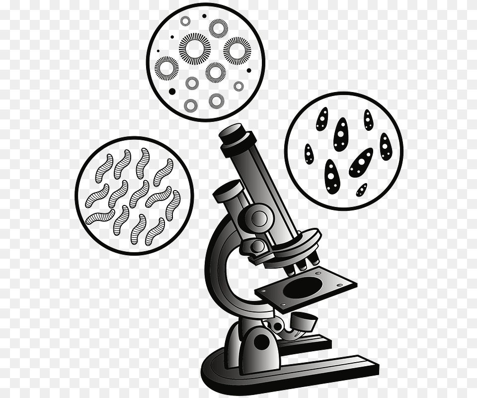 Microscope And Virus Clipart Transparent Background Microscope Clipart Png Image