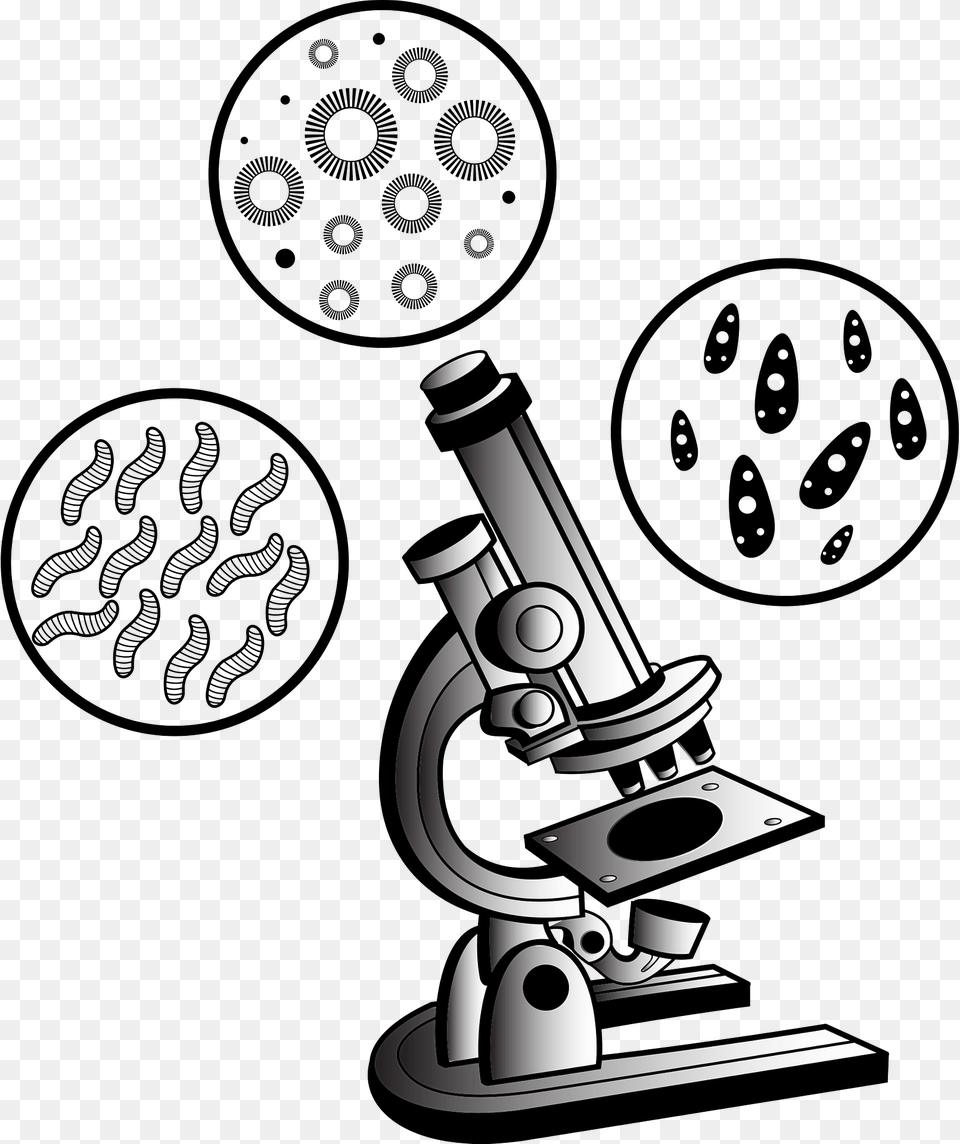 Microscope Virus Clipart Png Image