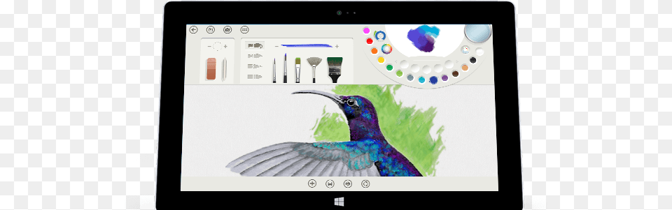 Microsoft Surface Fresh Paint, Animal, Beak, Bird, Computer Free Png Download