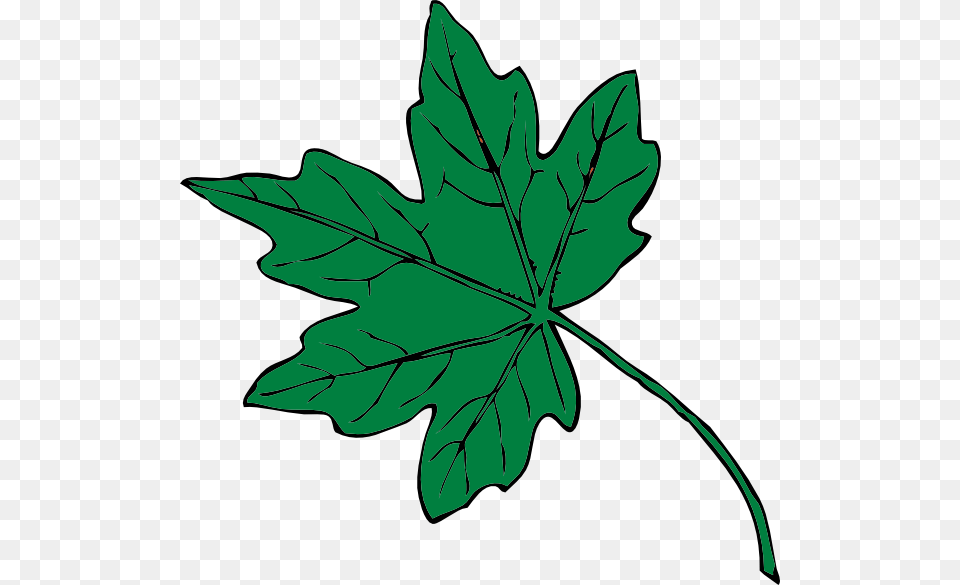 Mid Green Maple Leaf Clip Art At Clker Thanksgiving Leaf Clip Art, Maple Leaf, Plant, Tree Free Transparent Png