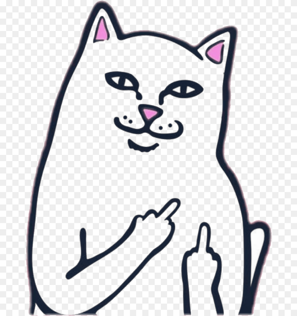 Middle Finger Cat With Transparent Clipart Images Rip And Dip Stickers, Animal, Mammal, Pet Free Png