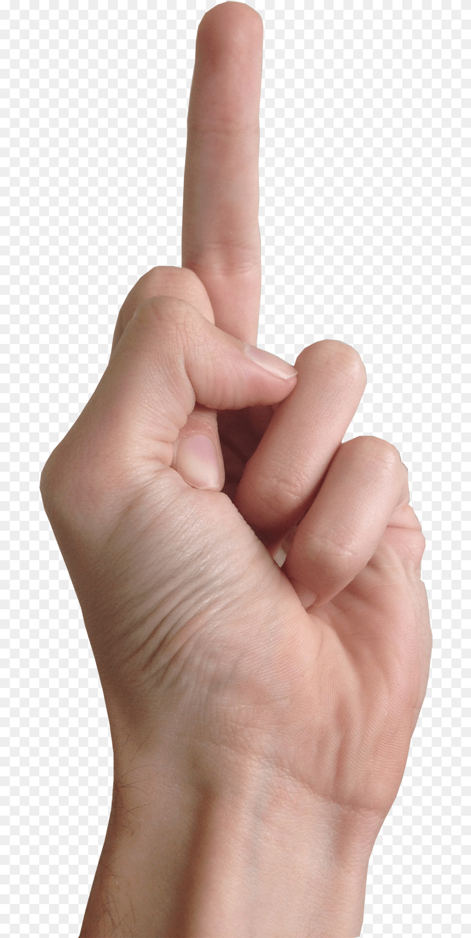 Middle Finger Middle Finger, Body Part, Hand, Person, Baby Png Image