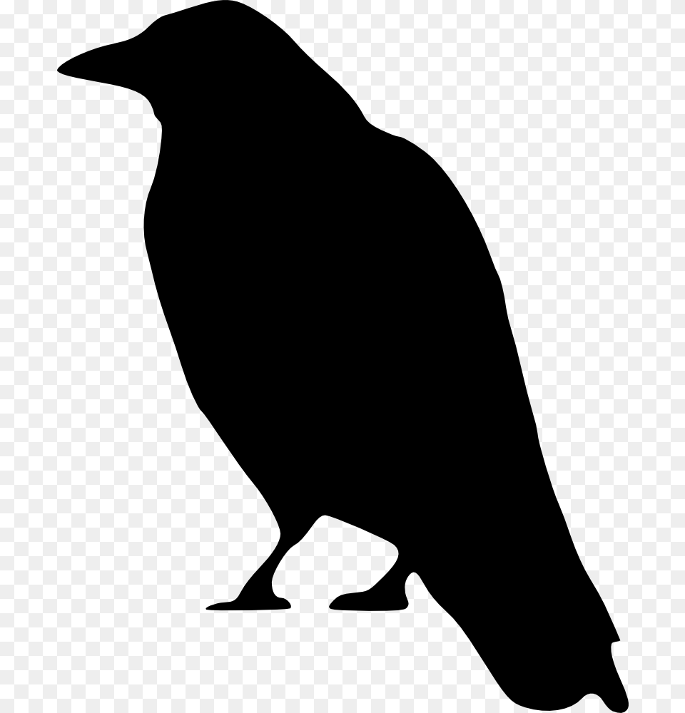 Middle School Library Raven, Silhouette, Animal, Bird, Crow Free Transparent Png