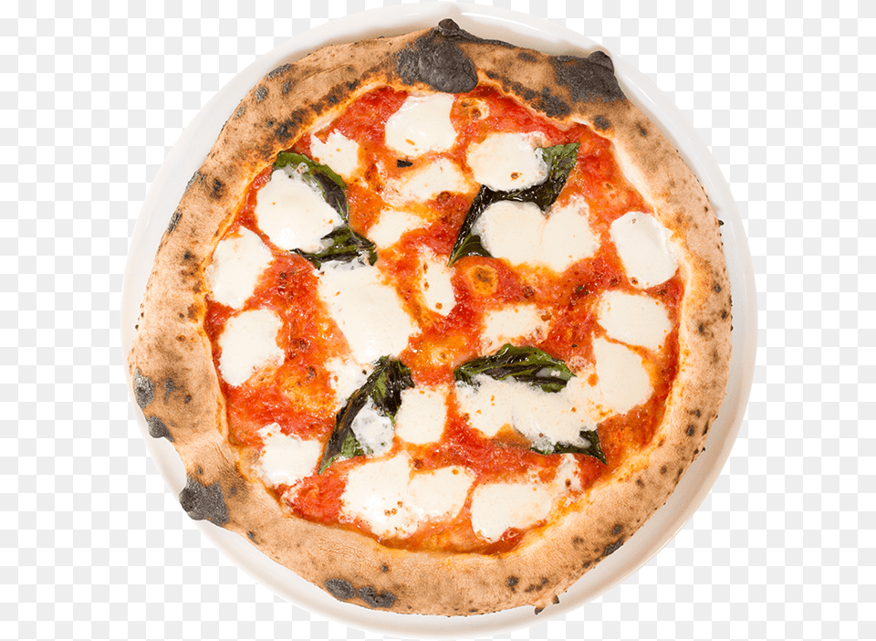 Midici Margherita Pizza, Food, Food Presentation, Meal Png Image