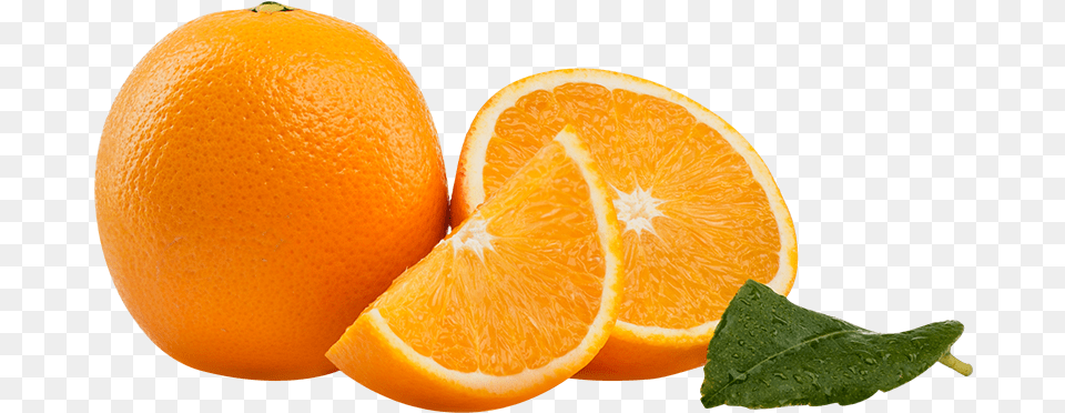 Midknight Oranges Clementine, Citrus Fruit, Food, Fruit, Grapefruit Png Image