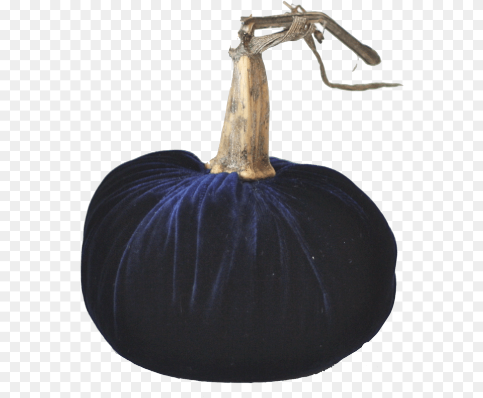Midnight Blue Velvet Pumpkin With Real Stem Velvet Pumpkin Background, Food, Plant, Produce, Vegetable Free Transparent Png