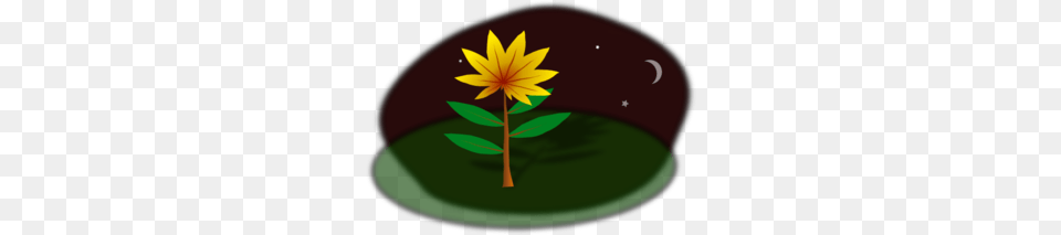 Midnight Flower Cartoon Clip Art, Leaf, Plant, Petal, Daisy Free Png