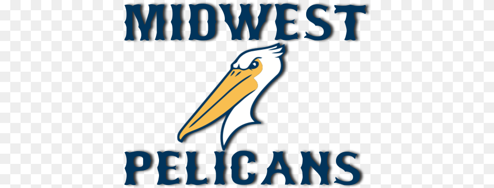 Midwest Pelicans Baseball Where Good Players Become Great Graphic Design, Animal, Bird, Waterfowl, Pelican Free Transparent Png